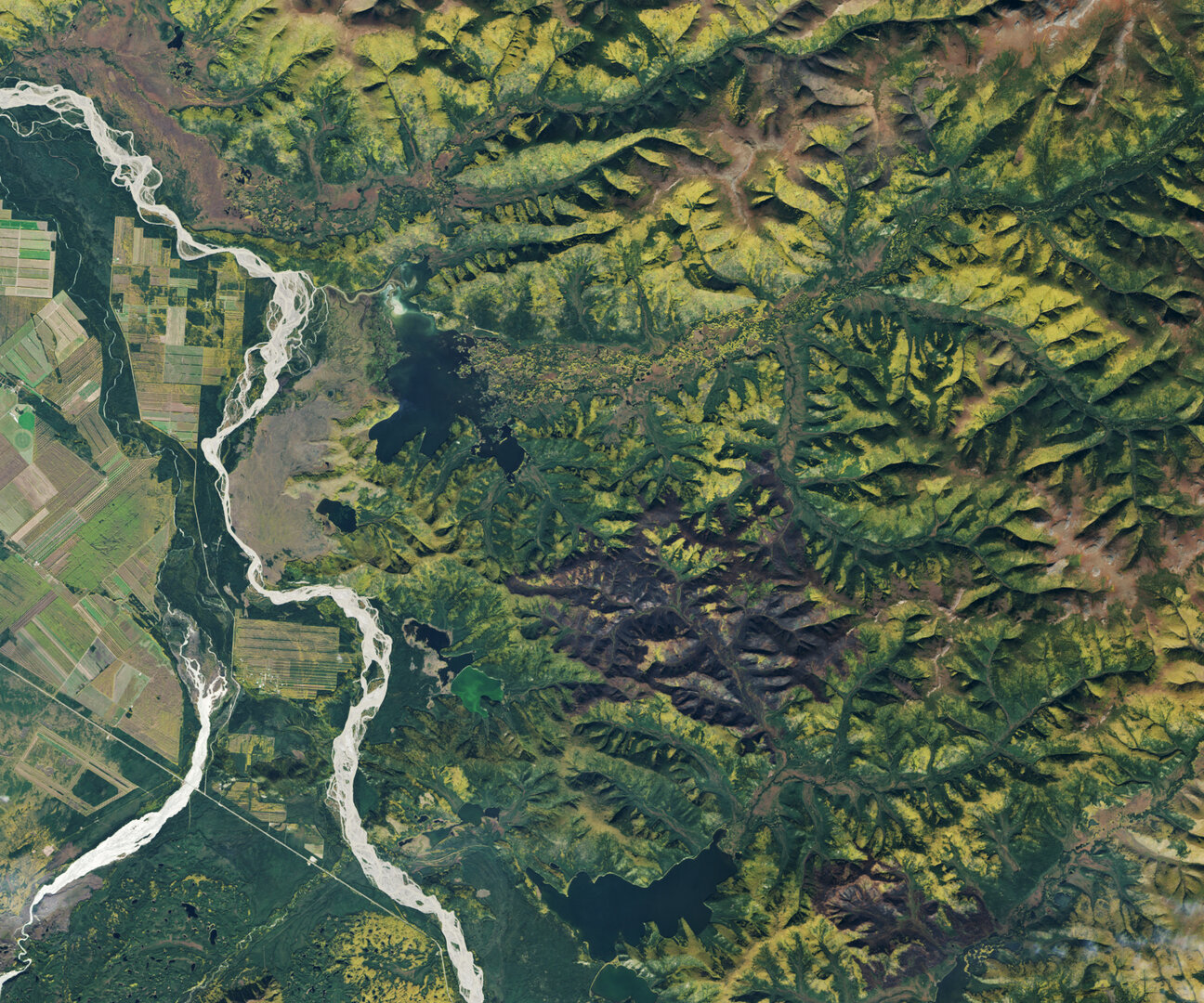 Due Diligence for Forest-Based Climate Investments