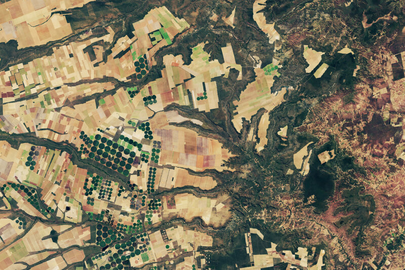 Remote Sensing Technology in Forest Carbon Markets