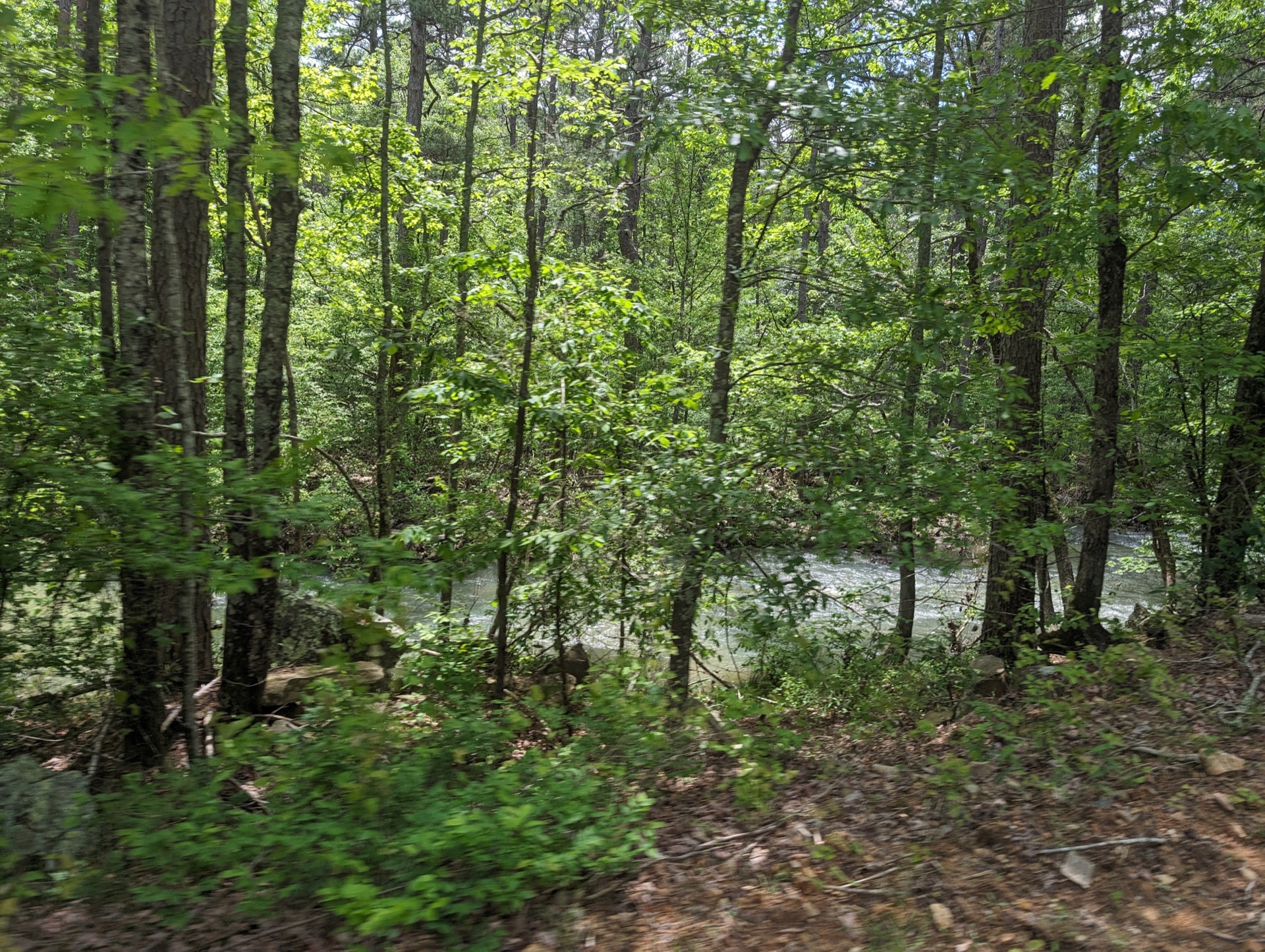 Sierra Nevada mountain meadow with granite peaks and mature conifer forest