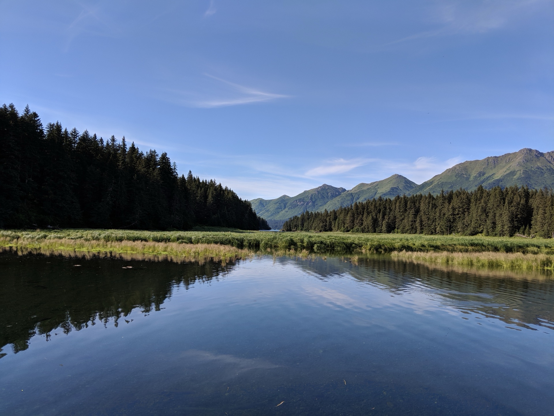 Forested mountains reflecting in an Alaskan tidal lagoon at dusk