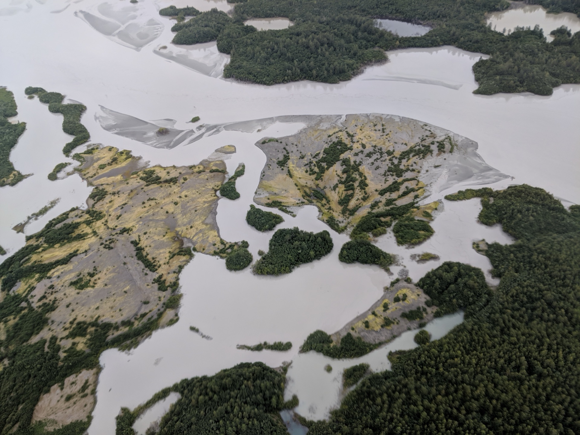 Aerial view of Alaskan glacial delta with boreal spruce forest islands